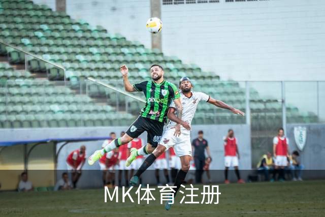 MK体育注册公司简介展示图
